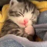 ヒメ日記 2025/06/08 15:38 投稿 りょう 熟女の風俗最終章 高崎店