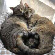 ヒメ日記 2025/06/13 10:23 投稿 りょう 熟女の風俗最終章 高崎店