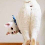 ヒメ日記 2025/06/27 17:28 投稿 りょう 熟女の風俗最終章 高崎店