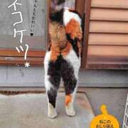 ヒメ日記 2025/06/29 14:15 投稿 りょう 熟女の風俗最終章 高崎店