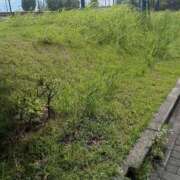 ヒメ日記 2025/07/17 15:08 投稿 りょう 熟女の風俗最終章 高崎店