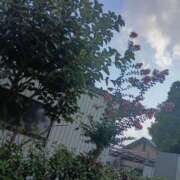 ヒメ日記 2025/08/25 15:39 投稿 りょう 熟女の風俗最終章 高崎店