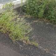 ヒメ日記 2025/09/22 21:48 投稿 りょう 熟女の風俗最終章 高崎店