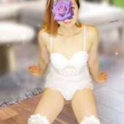 ヒメ日記 2025/04/15 14:24 投稿 あさひ 美熟女専科白夜