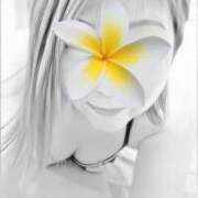 ヒメ日記 2025/07/07 11:06 投稿 あさひ 美熟女専科白夜