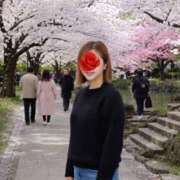 ヒメ日記 2026/04/17 14:02 投稿 あさひ 美熟女専科白夜