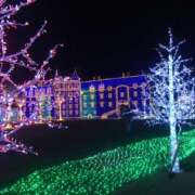 ヒメ日記 2024/12/09 09:30 投稿 こう 尼妻（あまづま）