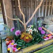 ヒメ日記 2025/01/08 10:36 投稿 こう 尼妻（あまづま）