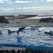 ヒメ日記 2025/01/27 22:25 投稿 こう 尼妻（あまづま）