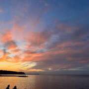 ヒメ日記 2025/02/28 10:43 投稿 こう 尼妻（あまづま）