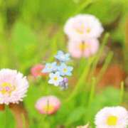 ヒメ日記 2025/04/02 10:18 投稿 こう 尼妻（あまづま）