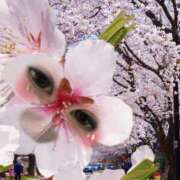 ヒメ日記 2025/04/07 12:45 投稿 こう 尼妻（あまづま）