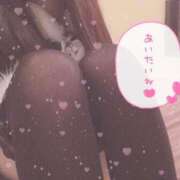 ヒメ日記 2024/12/18 12:51 投稿 ゆのん アネックスジャパン