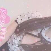 ヒメ日記 2025/02/16 10:39 投稿 ゆのん アネックスジャパン