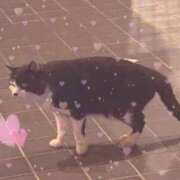 ヒメ日記 2025/12/31 02:09 投稿 ゆのん アネックスジャパン