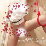 ヒメ日記 2025/04/10 17:40 投稿 美和 変態プレイ専門店 マニアック女人館 本館