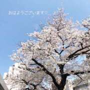 ヒメ日記 2025/04/11 09:19 投稿 美和 変態プレイ専門店 マニアック女人館 本館