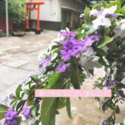 ヒメ日記 2025/05/13 16:40 投稿 美和 変態プレイ専門店 マニアック女人館 本館