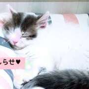 ヒメ日記 2025/11/11 12:14 投稿 美和 変態プレイ専門店 マニアック女人館 本館