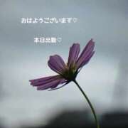 ヒメ日記 2025/11/18 07:33 投稿 美和 変態プレイ専門店 マニアック女人館 本館