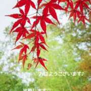 ヒメ日記 2025/11/27 08:30 投稿 美和 変態プレイ専門店 マニアック女人館 本館