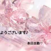 ヒメ日記 2025/11/28 08:17 投稿 美和 変態プレイ専門店 マニアック女人館 本館