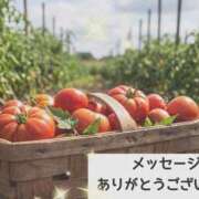 ヒメ日記 2026/03/20 10:26 投稿 美和 変態プレイ専門店 マニアック女人館 本館