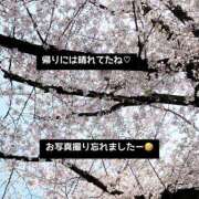 ヒメ日記 2026/04/02 17:46 投稿 美和 変態プレイ専門店 マニアック女人館 本館