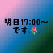 ヒメ日記 2024/11/20 12:10 投稿 すず 丸妻 新横浜店