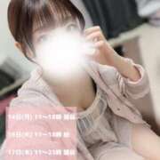 ヒメ日記 2025/04/14 08:52 投稿 潮すみれ AJ DOLLS(エージェイドールズ)