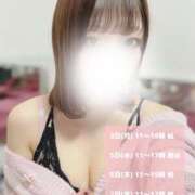 ヒメ日記 2025/11/03 09:32 投稿 潮すみれ AJ DOLLS(エージェイドールズ)