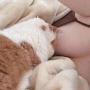 ヒメ日記 2025/03/15 14:49 投稿 あい 愛媛松山ちゃんこ