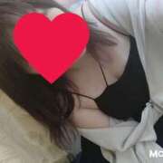 ヒメ日記 2025/03/29 01:59 投稿 くるみ 愛媛松山ちゃんこ