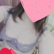 ヒメ日記 2025/04/07 12:27 投稿 くるみ 愛媛松山ちゃんこ