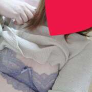 ヒメ日記 2025/04/13 12:29 投稿 くるみ 愛媛松山ちゃんこ