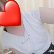 ヒメ日記 2025/05/17 15:49 投稿 くるみ 愛媛松山ちゃんこ