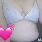 ヒメ日記 2025/09/03 14:15 投稿 くるみ 愛媛松山ちゃんこ