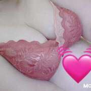 ヒメ日記 2025/09/12 18:29 投稿 くるみ 愛媛松山ちゃんこ