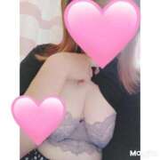 ヒメ日記 2025/10/18 17:19 投稿 くるみ 愛媛松山ちゃんこ