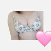 ヒメ日記 2026/04/13 21:29 投稿 くるみ 愛媛松山ちゃんこ