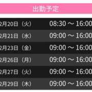 ヒメ日記 2024/02/20 10:00 投稿 みな スピードエコ天王寺店