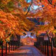 ヒメ日記 2025/11/23 18:19 投稿 ねね 西船人妻花壇