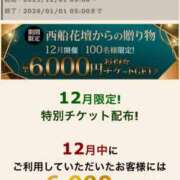 ヒメ日記 2025/11/30 16:36 投稿 ねね 西船人妻花壇