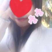 ヒメ日記 2025/12/04 14:55 投稿 ねね 西船人妻花壇