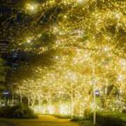 ヒメ日記 2025/12/23 12:50 投稿 ねね 西船人妻花壇