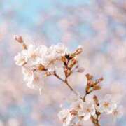 ヒメ日記 2026/03/07 20:09 投稿 ねね 西船人妻花壇