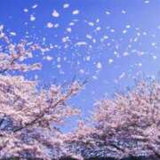 ヒメ日記 2026/04/04 08:58 投稿 ねね 西船人妻花壇