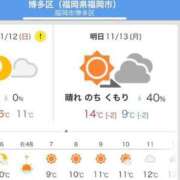 ヒメ日記 2023/11/12 18:16 投稿 夜ノ森 やつめ ハレ系 ひよこ治療院(中州)