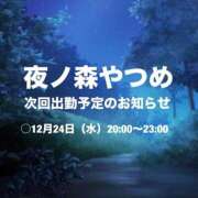 ヒメ日記 2025/12/20 00:51 投稿 夜ノ森 やつめ ハレ系 ひよこ治療院(中州)