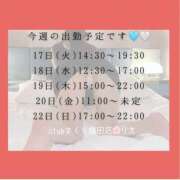 ヒメ日記 2026/02/17 13:35 投稿 りえ clubさくら梅田店